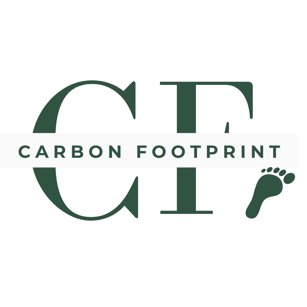 carbonfootprint.in